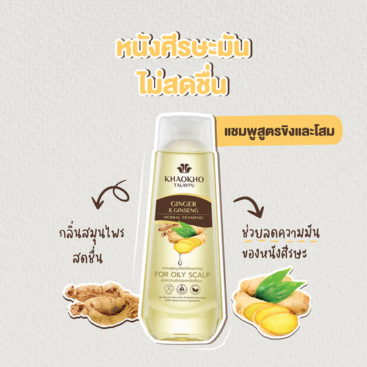 泰國 KhaoKho Talaypu (頭皮控油) 100% 天然草本洗髮露 或 護髮素 330ml [生薑及人蔘] KhaoKho Talaypu